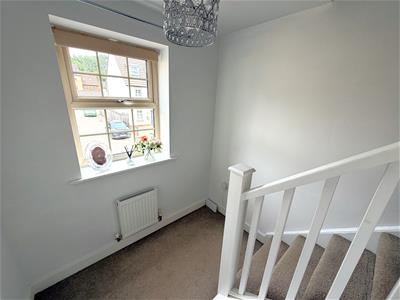 Picture 19